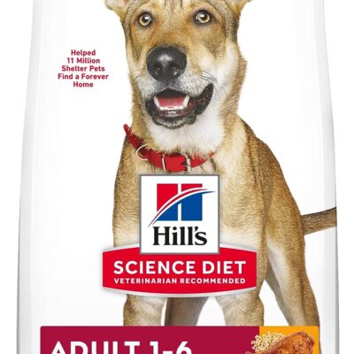 Hill’s Science Diet Adult 1-6, Adult 1-6 Premium Nutrition, Dry Dog Food, Chicken & Barley, 35 lb Bag (Pack of 1)